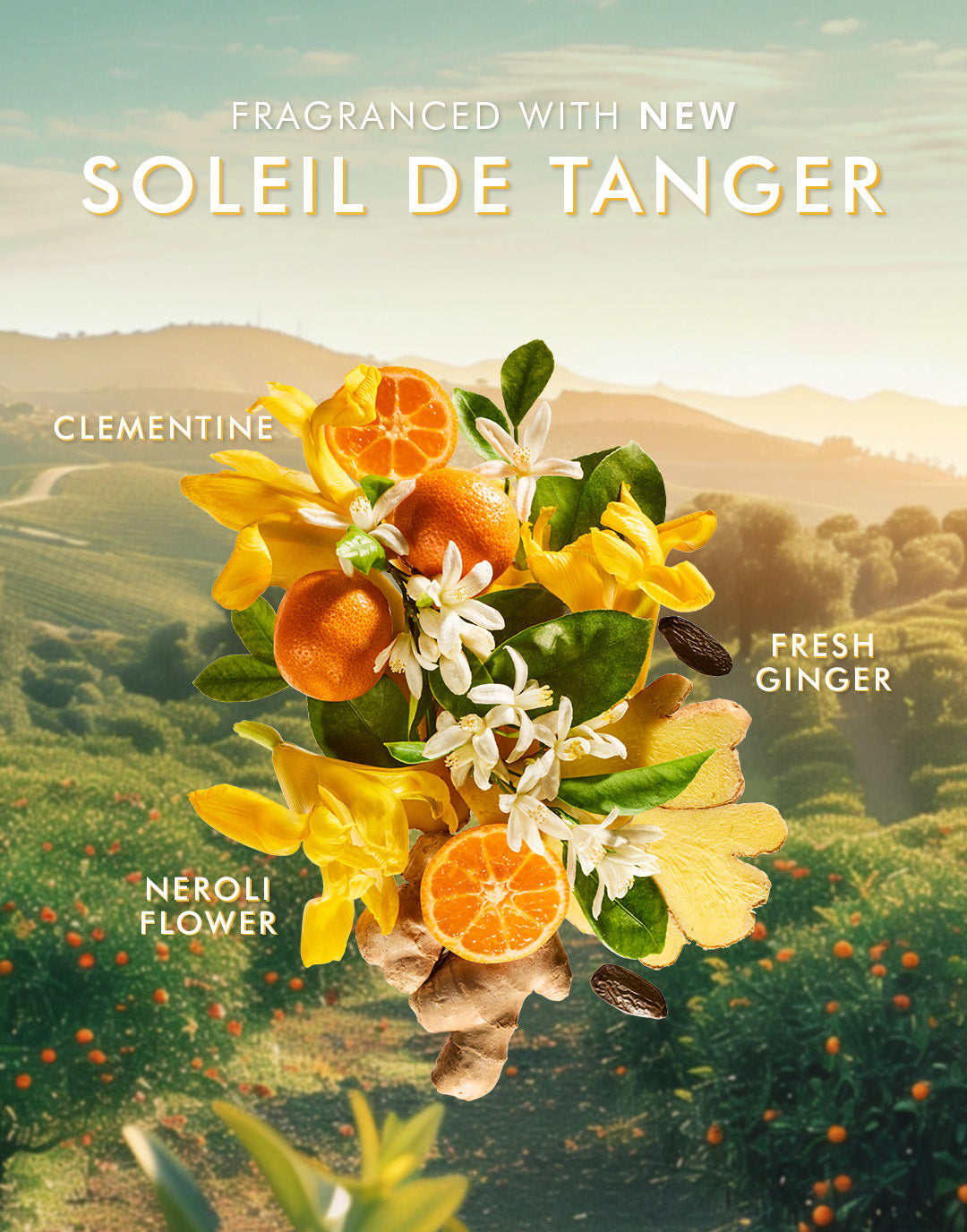 Handseife Soleil de Tanger
